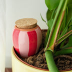 Olla Rayé Rose et Rouge
