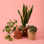 Trio De Mini Ollas Lovers