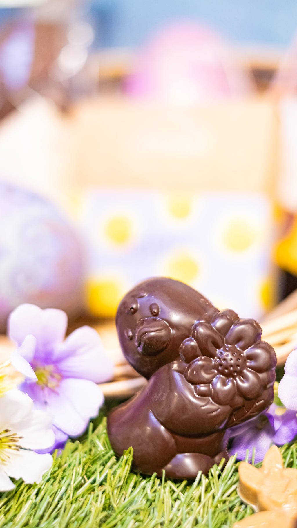 Caneton Chocolat Noir