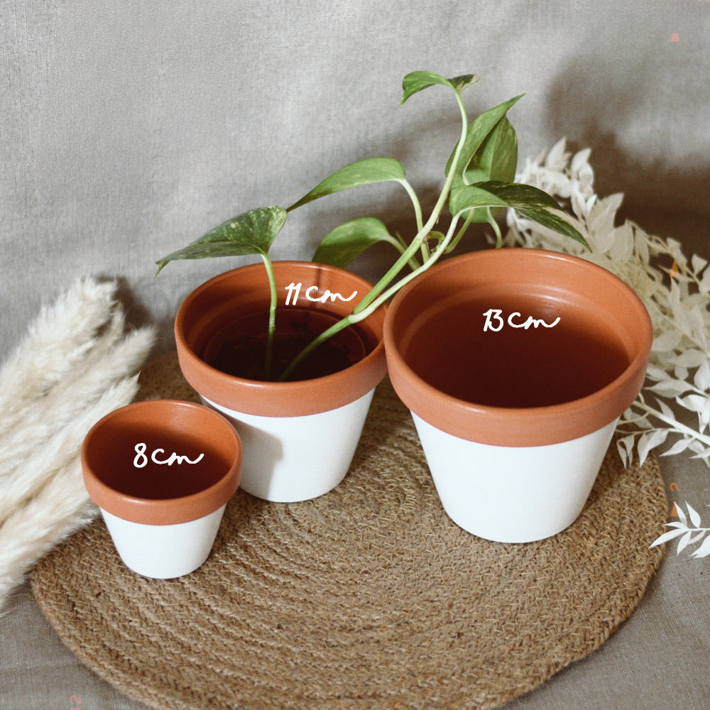 Pot de fleurs La plus belle mamie