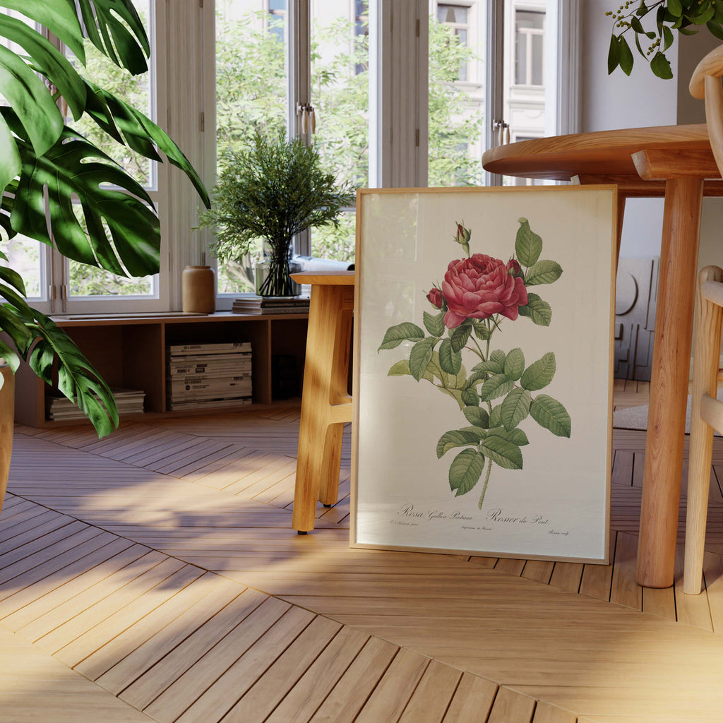 Póster de la flor Rose du Pont 