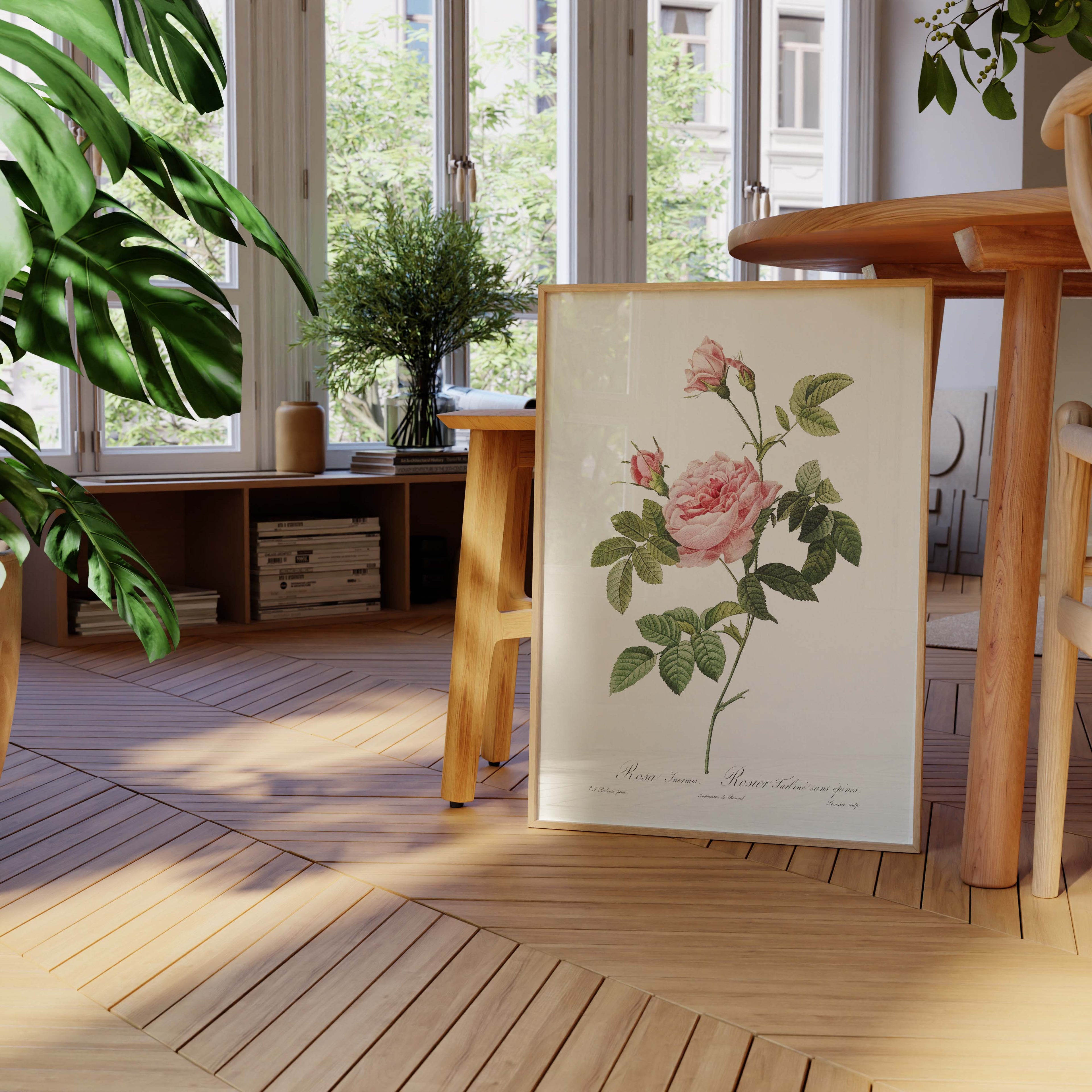 Affiche Fleurs Rosier Turbiné