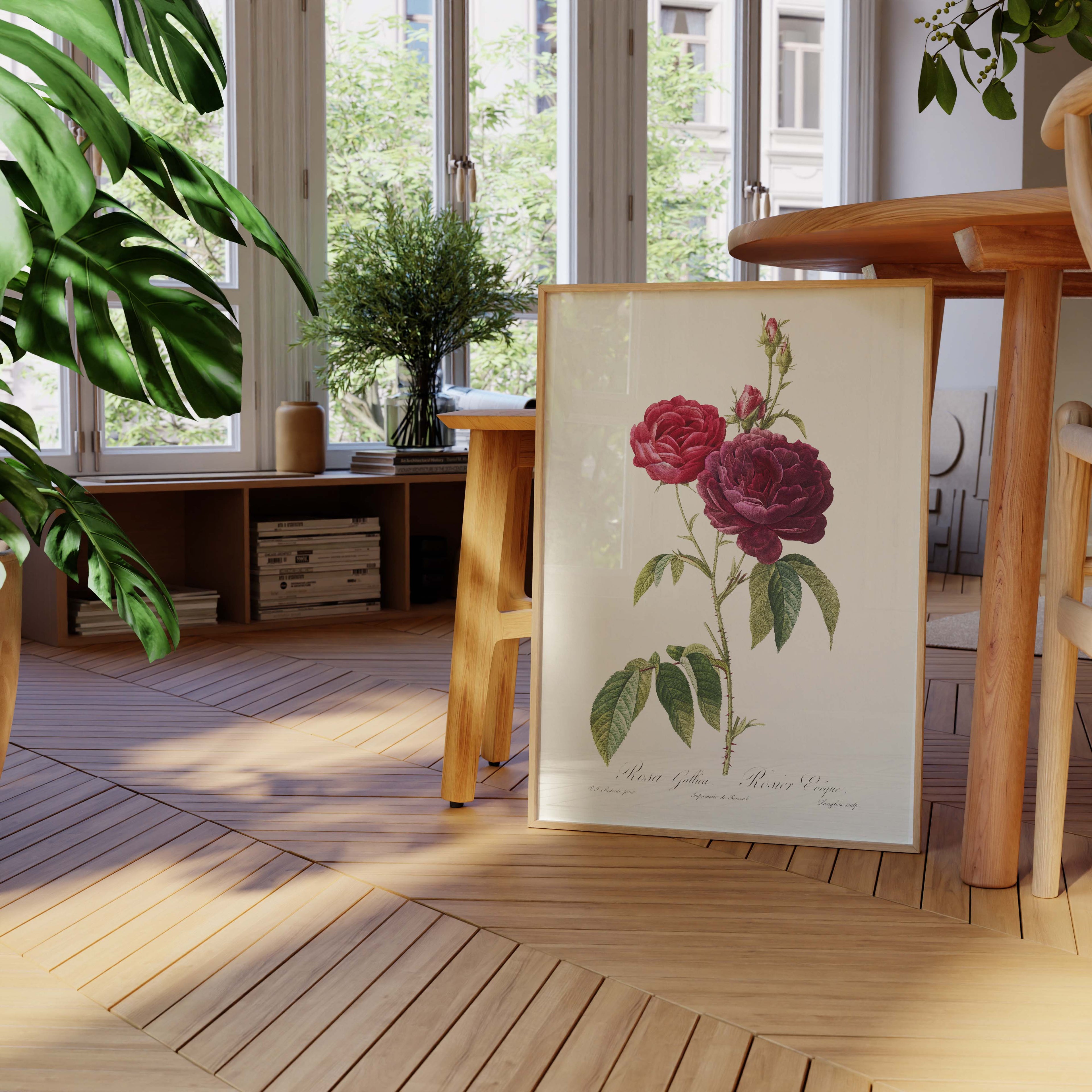 Affiche Fleurs Rosier Évêque