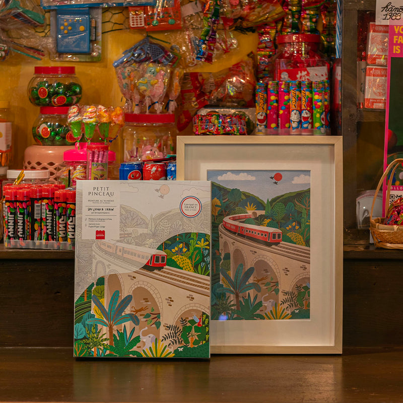 Coffret Peinture Au Numéro Sri-Lanka Train