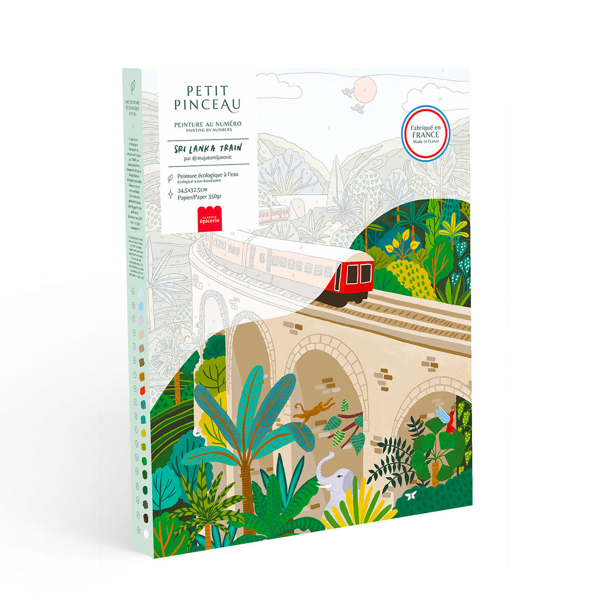 Coffret Peinture Au Numéro Sri-Lanka Train