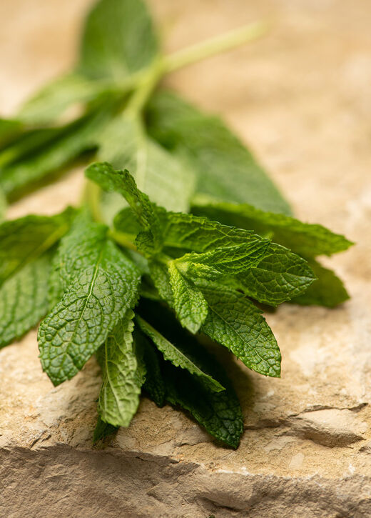 Thé Vert À La Menthe Aromatisé N°667