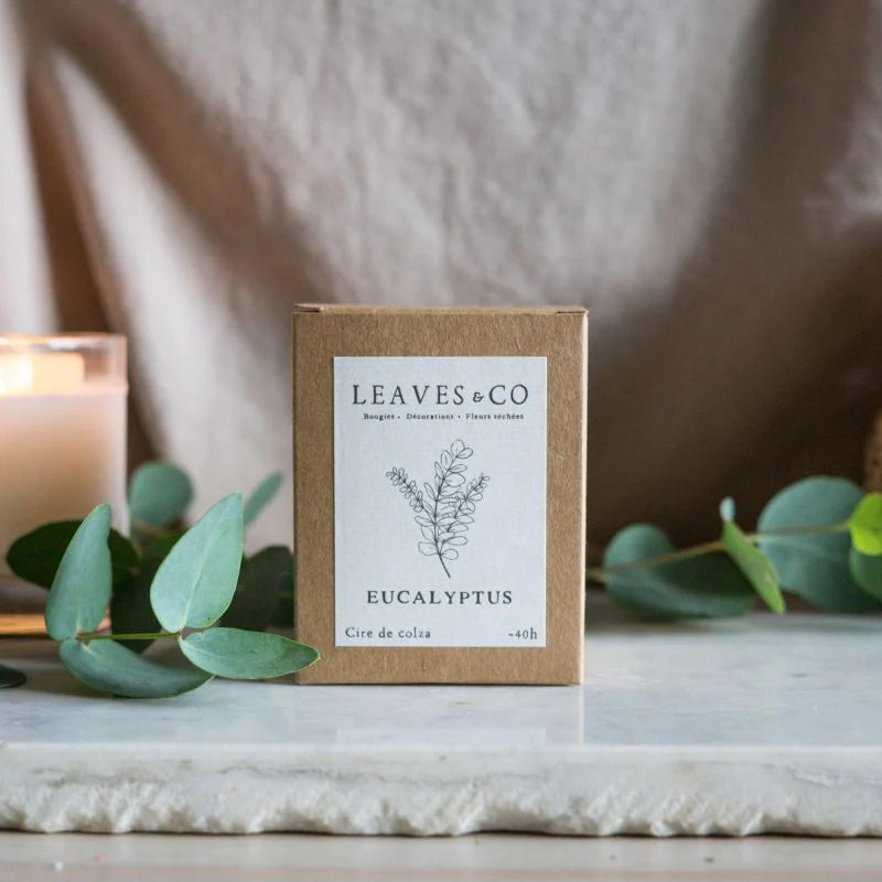 Bougie Eucalyptus