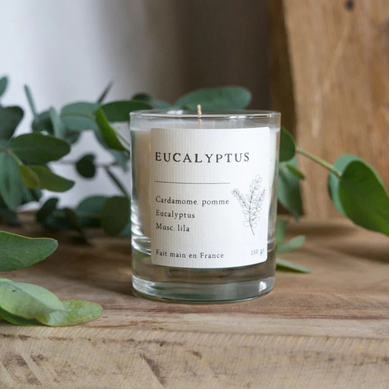 Bougie Eucalyptus