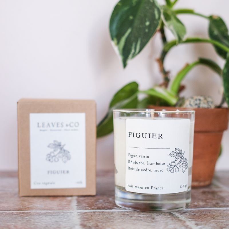 Bougie Figuier