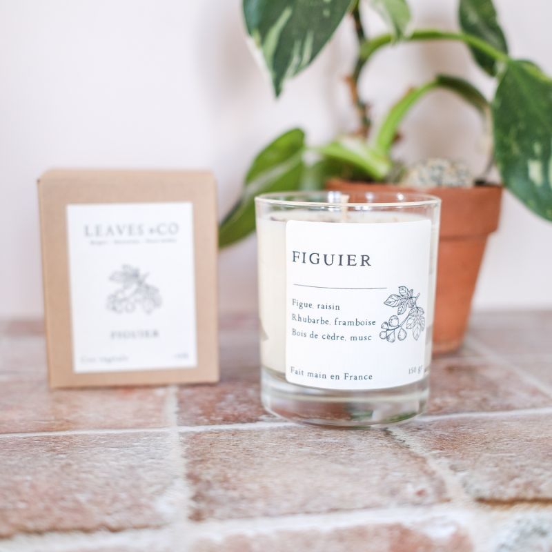 Bougie Figuier
