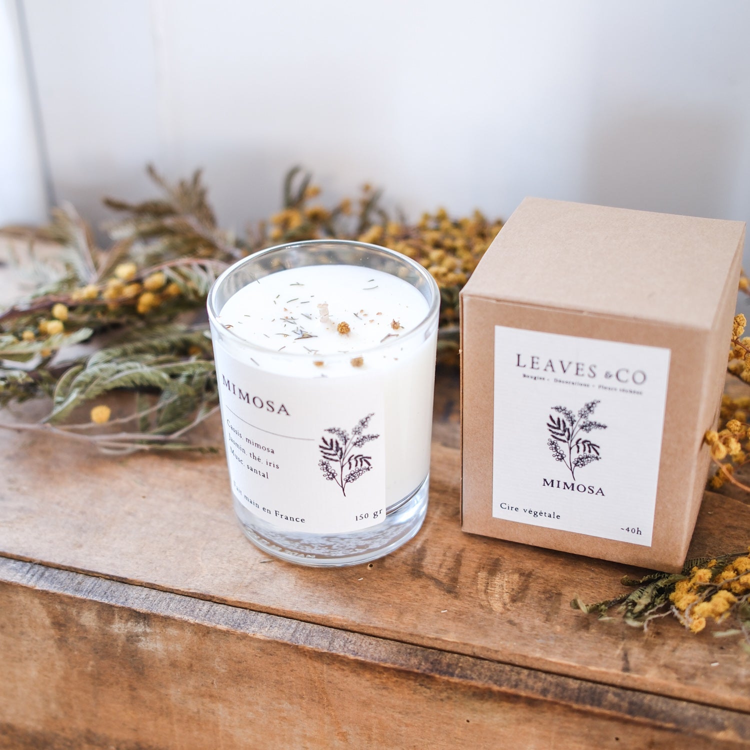 Bougie Mimosa