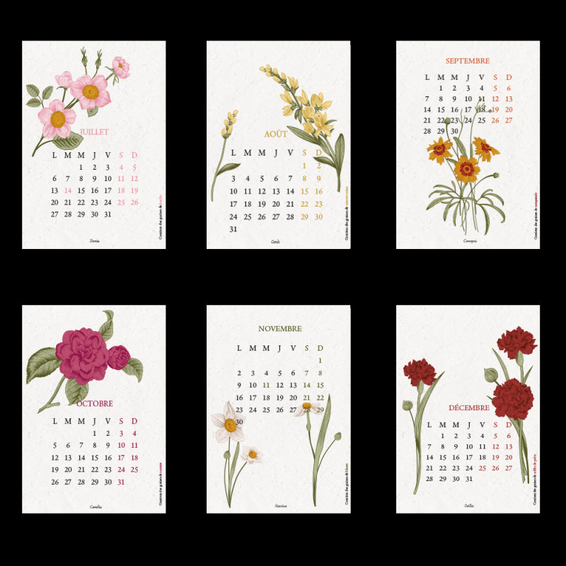 Calendrier à planter 2026 A6