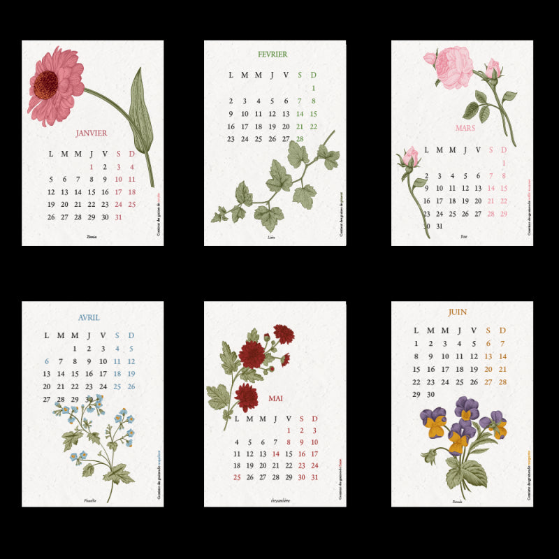 Calendrier à planter 2026 A6