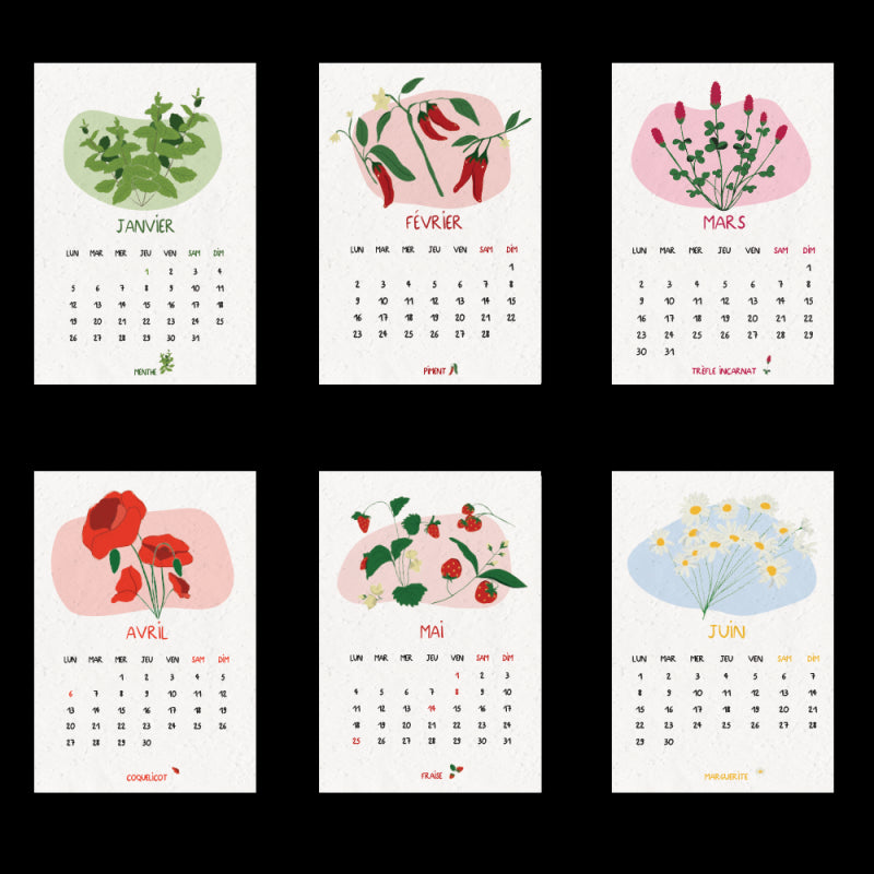 Calendrier à planter 2026 Jardin du temps