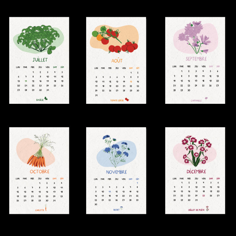 Calendrier à planter 2026 Jardin du temps