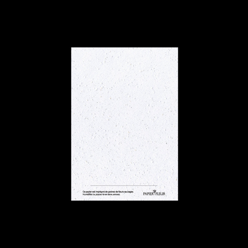 Plantable card - Rain of Love - Coin - Flower Paper