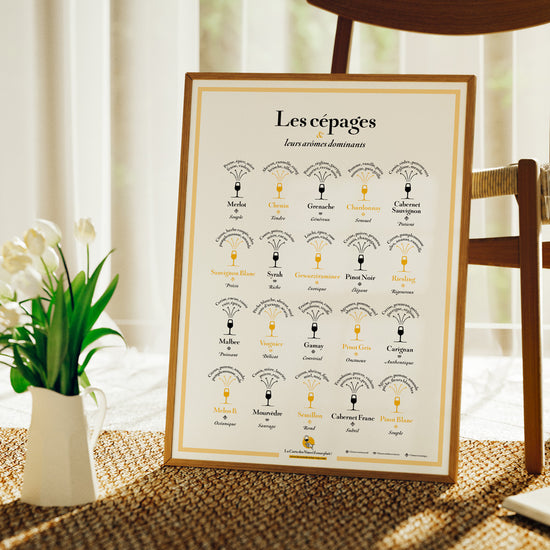 Affiche Les cépages