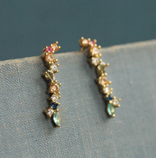 Boucles d'oreilles pendantes colorées fougère plume