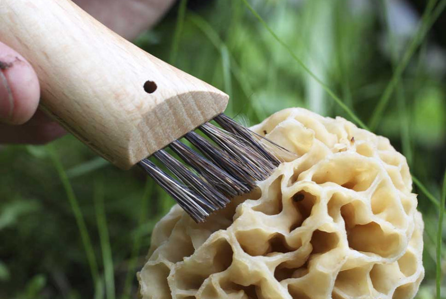 Couteau à champignons N°08