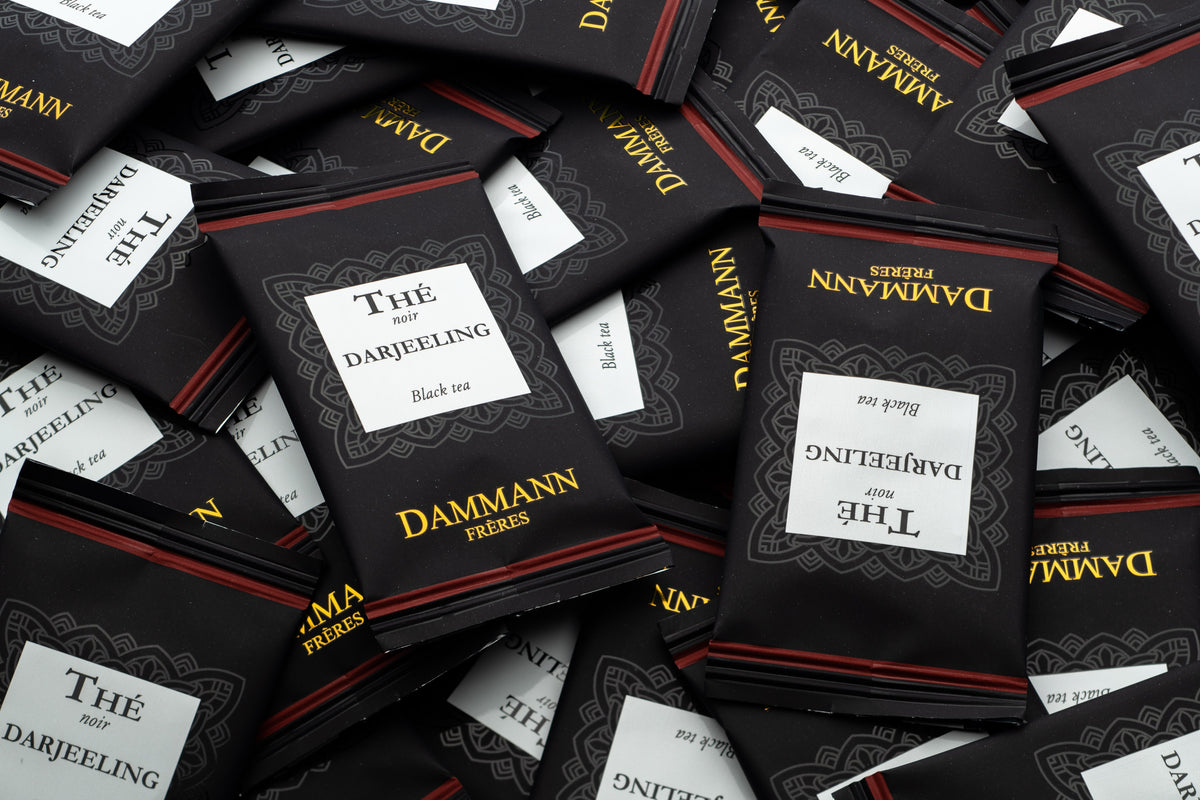 Sachets de thé noir Darjeeling Dammann Frères