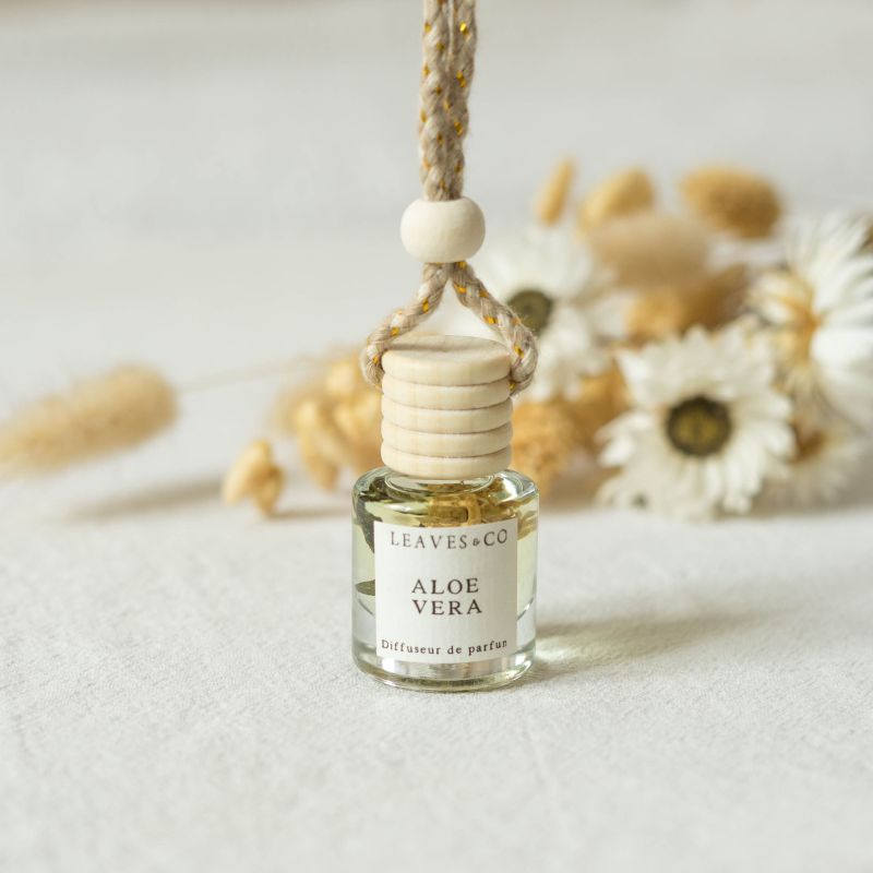 Diffuseur de parfum pour voiture