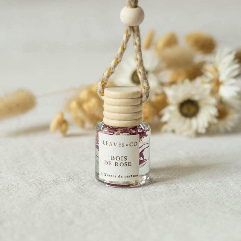 Diffuseur de parfum pour voiture