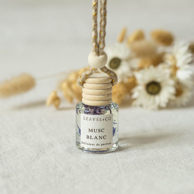 Diffuseur de parfum pour voiture