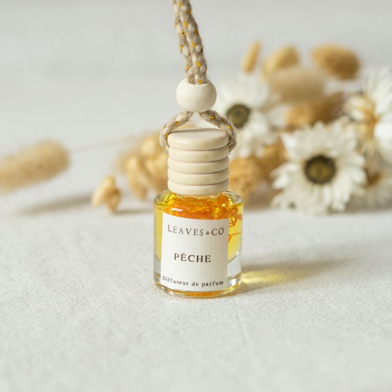 Diffuseur de parfum pour voiture