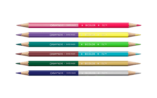 Set de 6 crayons de couleurs bicolores