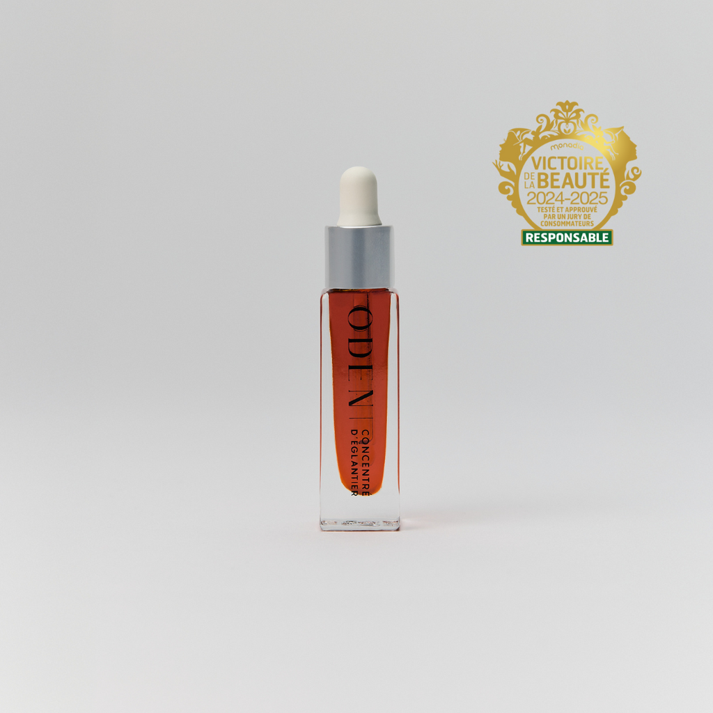 Concentré d'églantier