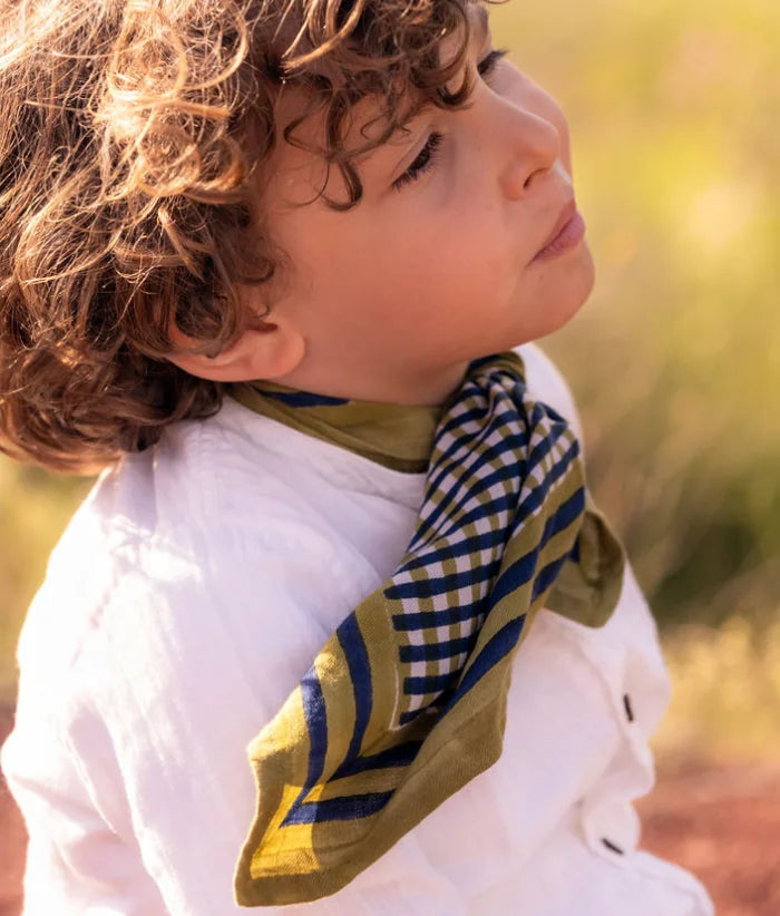 Petit Foulard Tara Verde 50x50