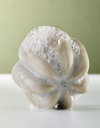 shampoing solide cheveux gras et fin qui mousse umai