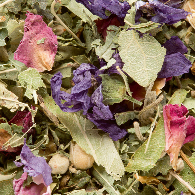 Tisane des Merveilles N°480