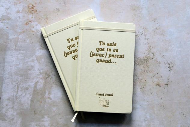 Carnet Tu sais que tu es (jeune) parent quand...