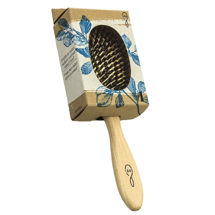 Brosse grand modèle Lissage et soin n°1