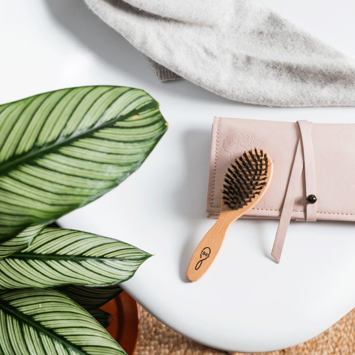 Brosse sac n°5