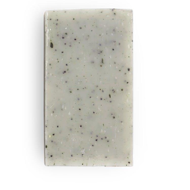 Savon le Gecko