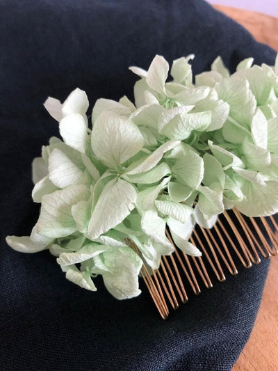Comb in Dried and Preserved Flowers - Pale green
