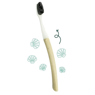 Edith toothbrush with medium interchangeable head - Saint-Jacques
